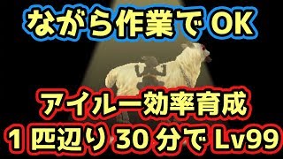 【MHXX実況】オトモアイルーとニャンターの効率的なレベル上げがながら作業で出来るとか神かよ【モンハンダブルクロス】