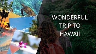 Hawaii Uncovered: The Ultimate Travel Guide to the Aloha State