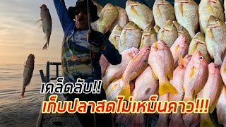 เคล็ดลับ!! วิธีเก็บปลาให้สดไม่เหม็นคาว!!! #ตกปลา #อาหารทะเลสด #ปลาสด  @JordSeaman