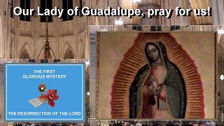 220803_Holy Rosary (Glorious Mysteries)