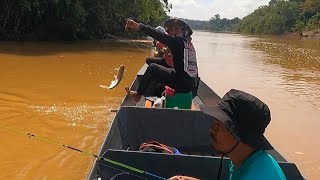 memancing ikan Lawang di Sungai Jelai ( Mupas Lawang ).