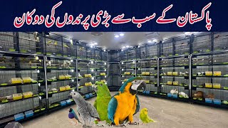 Mushtaq Ahmed New Shop Opening Ceremony II Birds Paradise II Multan