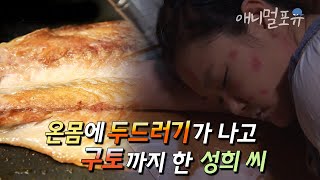 시청자 요청 🚛 고등어구이를 맛있게 먹은 한 여자가 갑자기 쓰러진 이유?? 😰 | KBS 위기탈출 넘버원 130902 방송