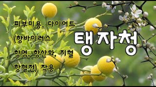 탱자청 만들기 (혈액순환촉진, 모세혈관강화, 아토피피부염, 알레르기, 가려움증, 피부트러블, 다이어트, 혈관건강, 면역력강화​, 골다공증, 항암효과)탱자의 효능