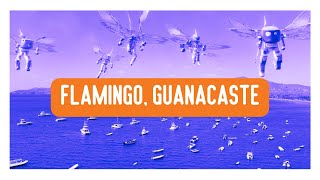 ▶️ Sobrevuelo con #DJIMini3 en #Guanacaste, #costarica . Marina Flamingo!