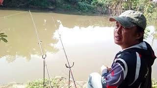 Relaxing in nature #villagelife #fishing #naturallife #naturalvillagelife