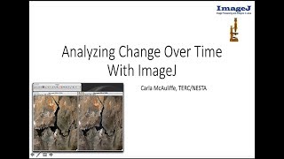 Out2Lunch: ImageJ - Image processing and Analysis in Java