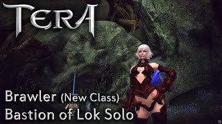 TERA KR | Brawler (New Class) | Bastion of Lok Solo