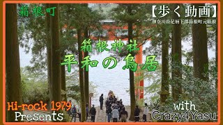 【歩く動画】箱根神社『平和の鳥居』(神奈川県足柄下郡箱根町元箱根) 2023.05.11