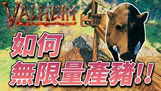 【瓦爾海姆】如何無限量生產豬??【Valheim/英靈神殿】