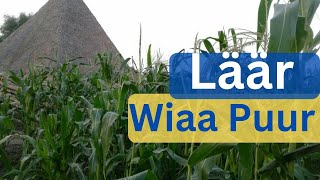 Läär, cuarɛ nhɔkni̠ nyuur gua̱a̱th ca̱yni̠ kɛnɛ guiɛɛr #thoknaath Wiaa puɔ̱rɛ