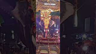 Elephant has been used for the Festivals in India ,Evoor sree krishna Temple procession