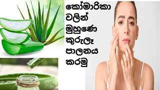 කෝමාරිකා වලින් මුහුණේ කුරුලෑ නැති කරමු /how to make a face with aloe vera / #beatytips