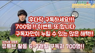 구독자 700명 이벤트!!! 자연이팜 밴드 가입하셔서 많은 참여 부탁드립니다!!!! 딸기의 기술은 자연이팜과 함께