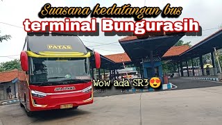 Banyak bus berdatangan diterminal purabaya-bungurasih