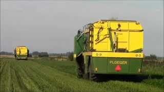 Ploeger bean Harvesting 2015