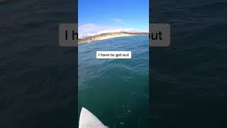 This Lucky Man Survives A Shark Attack