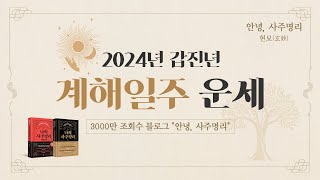 2024년 갑진년 계해일주 운세