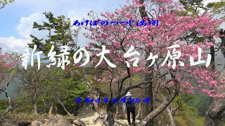 新緑の大台ヶ原　令和4年5月25日