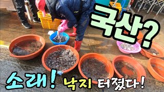 소래포구 난전 어시장 진짜 국산 낙지? 만원 자연산 뻘낙지 꽉찼다! 구매 방법 긴급 공개 줄서세요!Korean fish market channel.