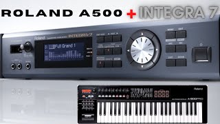 Roland A-500 Integra 7 module