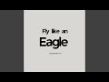 Fly Like an Eagle