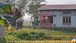 Mother and daughter watching the wild elephant from inside the house 🏠 🐘 ||