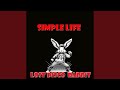 Lost Disco Rabbit - Simple life