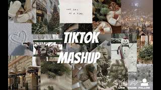 Tiktok mashup ❄️⛄️