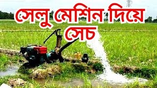 ঘনকুয়াশায় চলছে স্যালু মেশিন দিয়ে সেচ বোরো রোপন প্রস্তুতি ও পরিচর্যা- Boro planting preparation and..