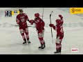 del2 ev landshut vs. selber wölfe i highlights 23. spieltag sdtv eishockey