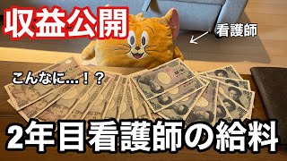 【収益公開】YouTubeと看護師でいくら貰えるの！？2年目看護師の給料公開。