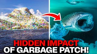Hidden Depths: The Real Impact Below the Surface of the Great Pacific Garbage Patch (Episode 3)