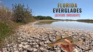 Florida is in a SEVERE Drought! Fishing the Florida Everglades!
