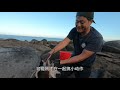 无人孤岛成“宝山”，值钱海货扎堆成群冒金光，阿阳激动得不得了