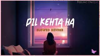 Dil Kehta Hai Slowed Reverb - Feeling Unique | Female Version | Akele Hum Akele Tum | New Hindi Lofi