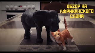 ОБЗОР НА АФРИКАНСКОГО СЛОНА