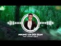 nhỮng lỜi dỐi gian thÁi hoÀng remix 1 hour