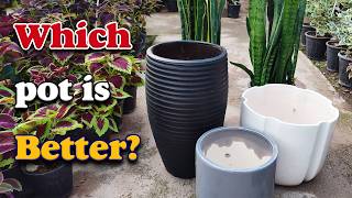 Snake plant choosing pot | How to choose right pot for my Snake plant?