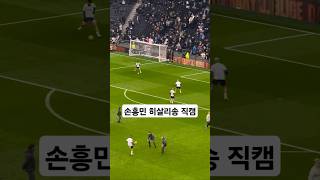 손흥민 비둘기 직캠.#sonny #football #tottenham #spurs #london #히샬리송