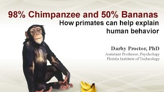 98% Chimpanzee and 50% Bananas