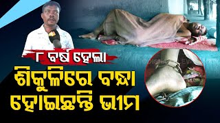 Apana Eka Nuhanti | Man chained from 8 years, family seeks financial assistance in Jajpur