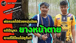 พ่อหมอเกษตร EP.21 ตอน แก้ปัญหาหน้ายางตายแบบง่าย