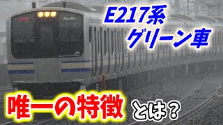 【引退で消滅】E217系グリーン車のみの「特徴」とは？乗車しつつ解説！【E217系 グリーン車 武蔵小杉→東京】