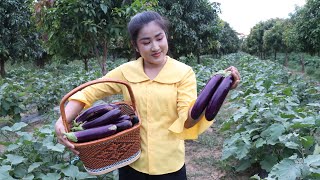 Country chefs: Eggplant is good for my recipes - Yummy eggplant cooking -Mother and daughter cooking