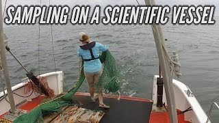 Trawling for FISH on a Scentific Reasearch Vessel