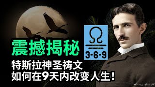 神秘3、6、9数字：特斯拉显化祷文，快速显现奇迹！