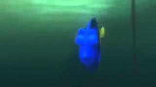 Finding Nemo Dory Monologue When I Look At You, I'm Home