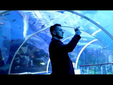 Visit National Sea Life Centre - Birmingham City Visit National Sea Life Centre - Birmingham City
