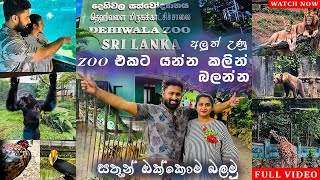 Dehiwala zoo (දෙහිවල සත්තු වත්ත) | Zoological Gardens Sri Lanka | Colombo zoo | Full tour